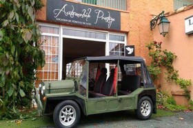 location Mini Moke verte
